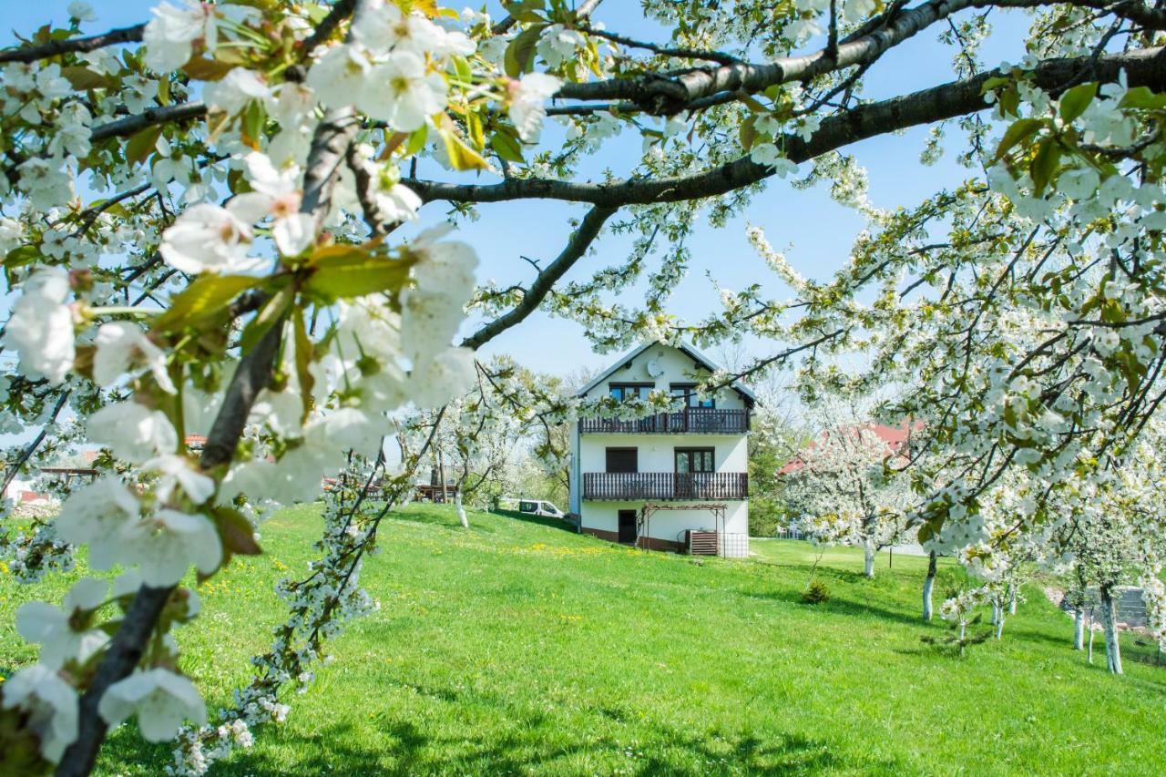 Готель House Spehar Селище Дрежницько Екстер'єр фото