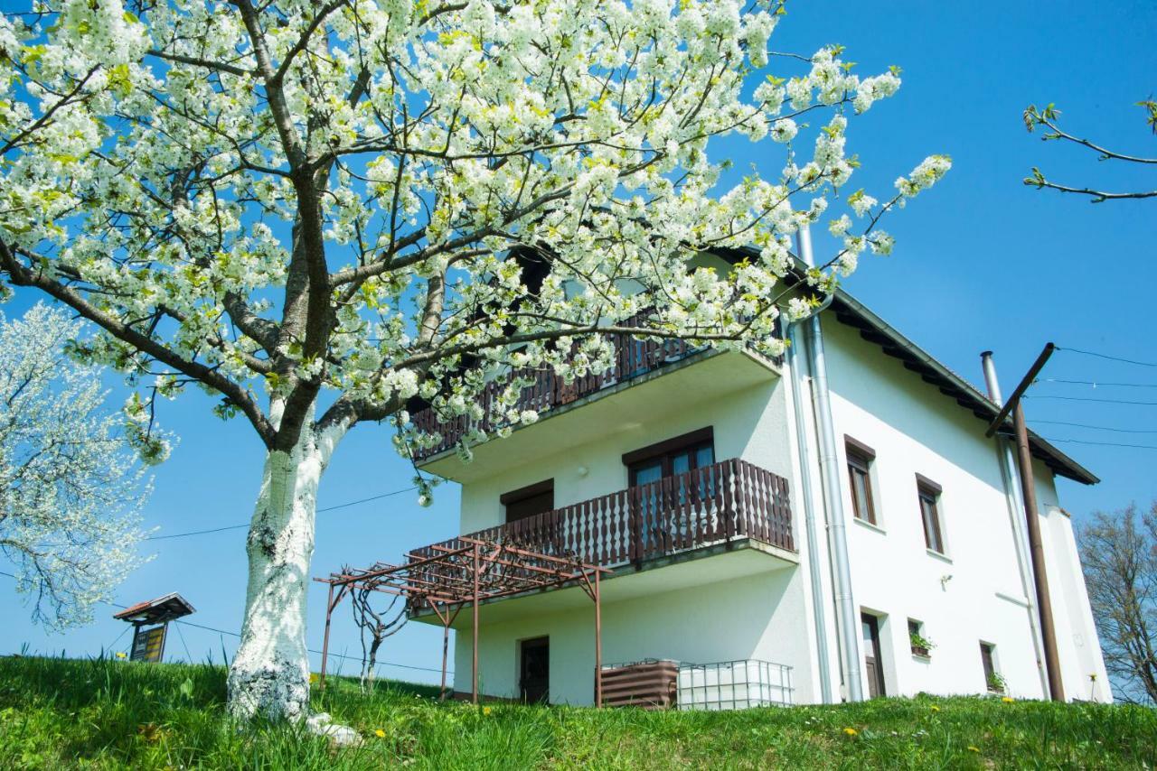 Готель House Spehar Селище Дрежницько Екстер'єр фото