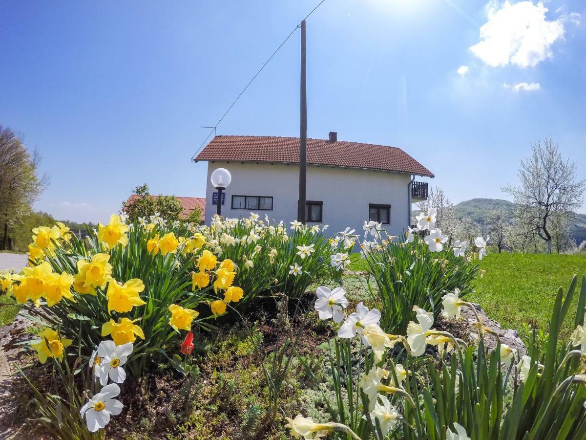 Готель House Spehar Селище Дрежницько Екстер'єр фото