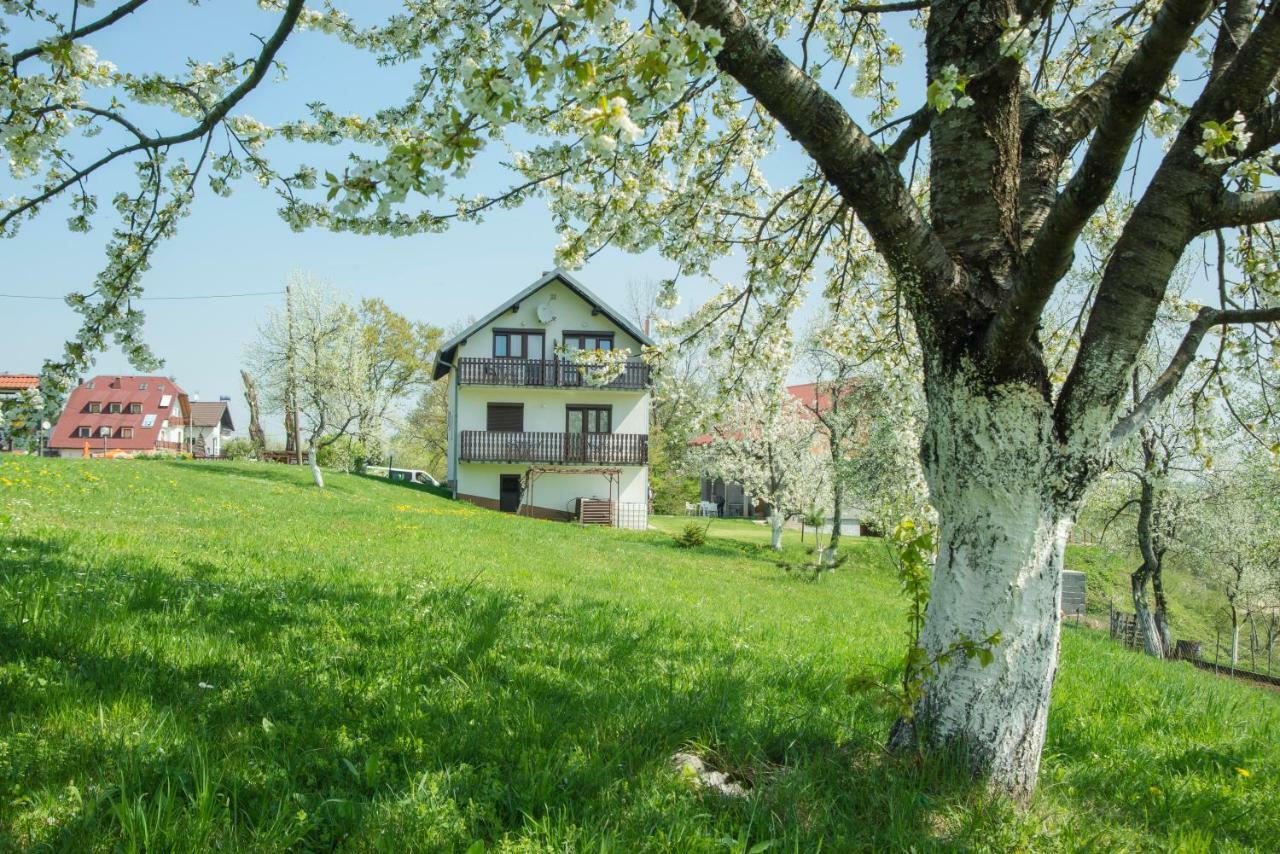 Готель House Spehar Селище Дрежницько Екстер'єр фото